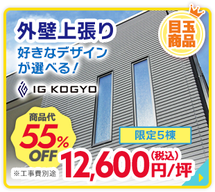 外壁上張り 好きなデザインが選べる！ IG KOGYO 商品代55%OFF 限定5棟